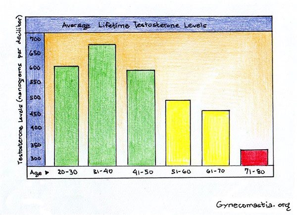 Testosterone Levels